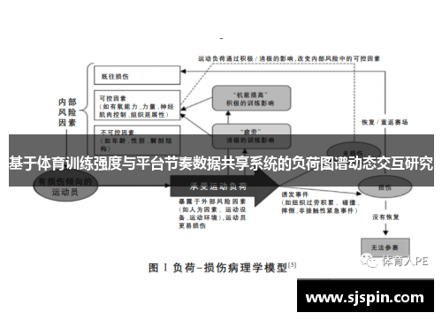 基于体育训练强度与平台节奏数据共享系统的负荷图谱动态交互研究